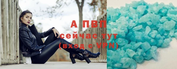 гидра Богородск