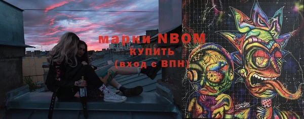 гидра Богородск