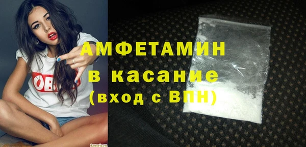 гидра Богородск
