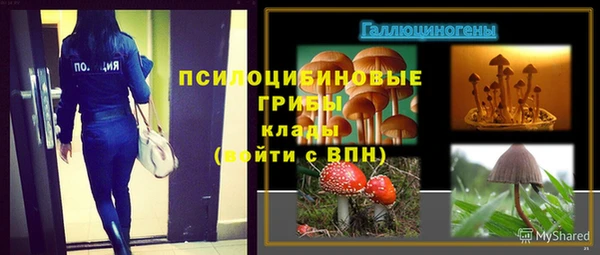 стаф Сосновоборск