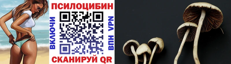 Псилоцибиновые грибы мухоморы  где можно купить   Медногорск 